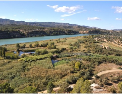 Reserva Natural de Sebes: 30 anys de natura protegida al cor de l’Ebre